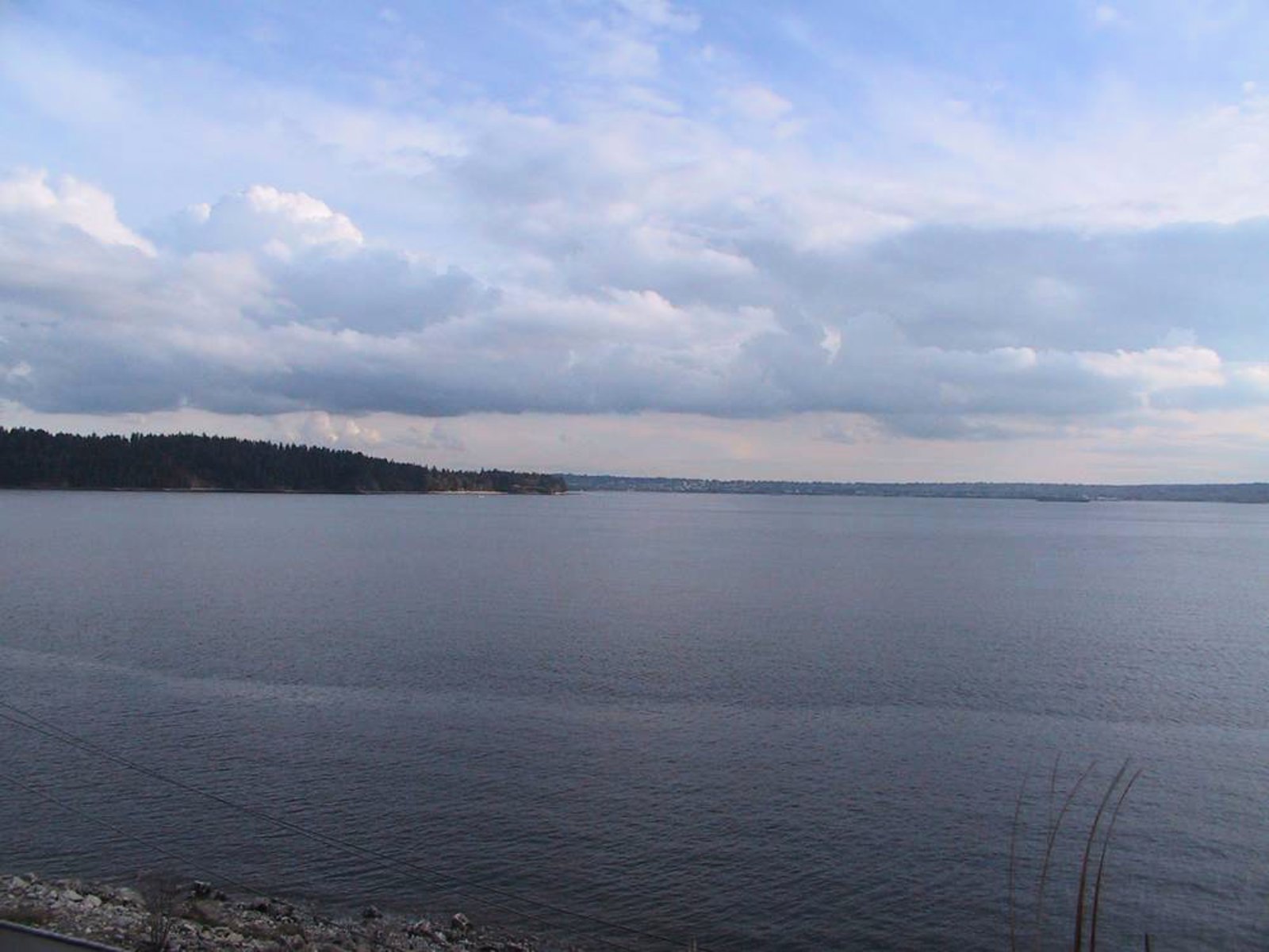 The Harbour View