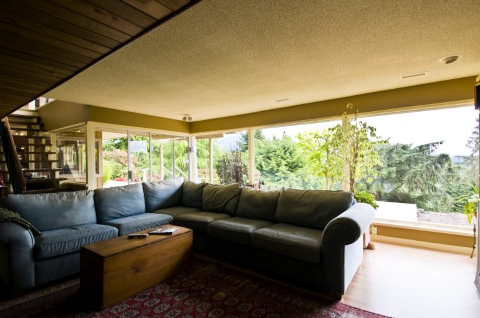 Family Room Lower Level