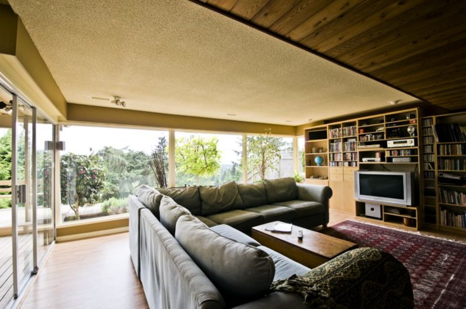 Family Room Lower level