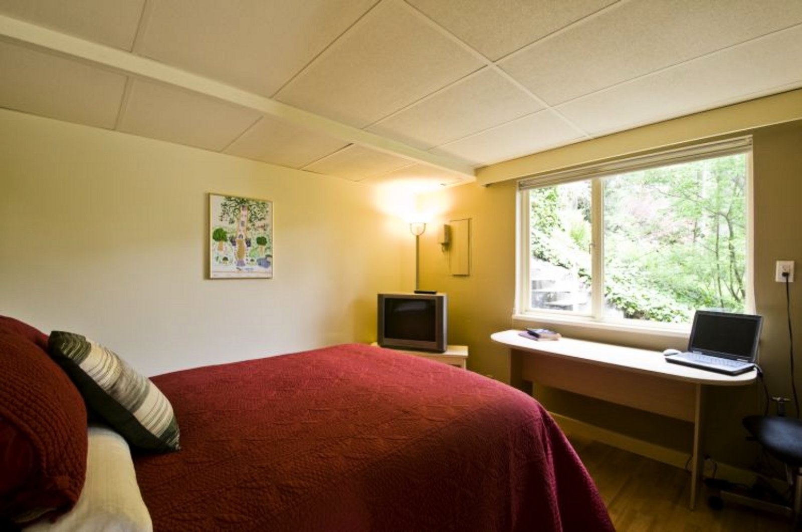 Fourth Bedroom Lower Level