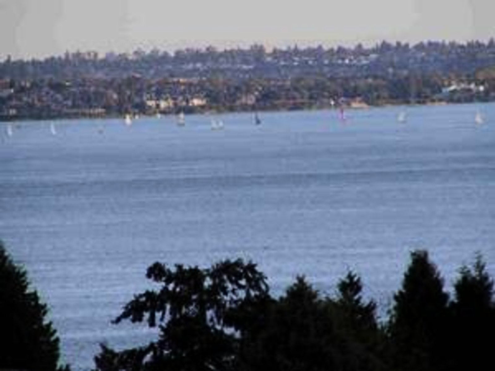 South Water View