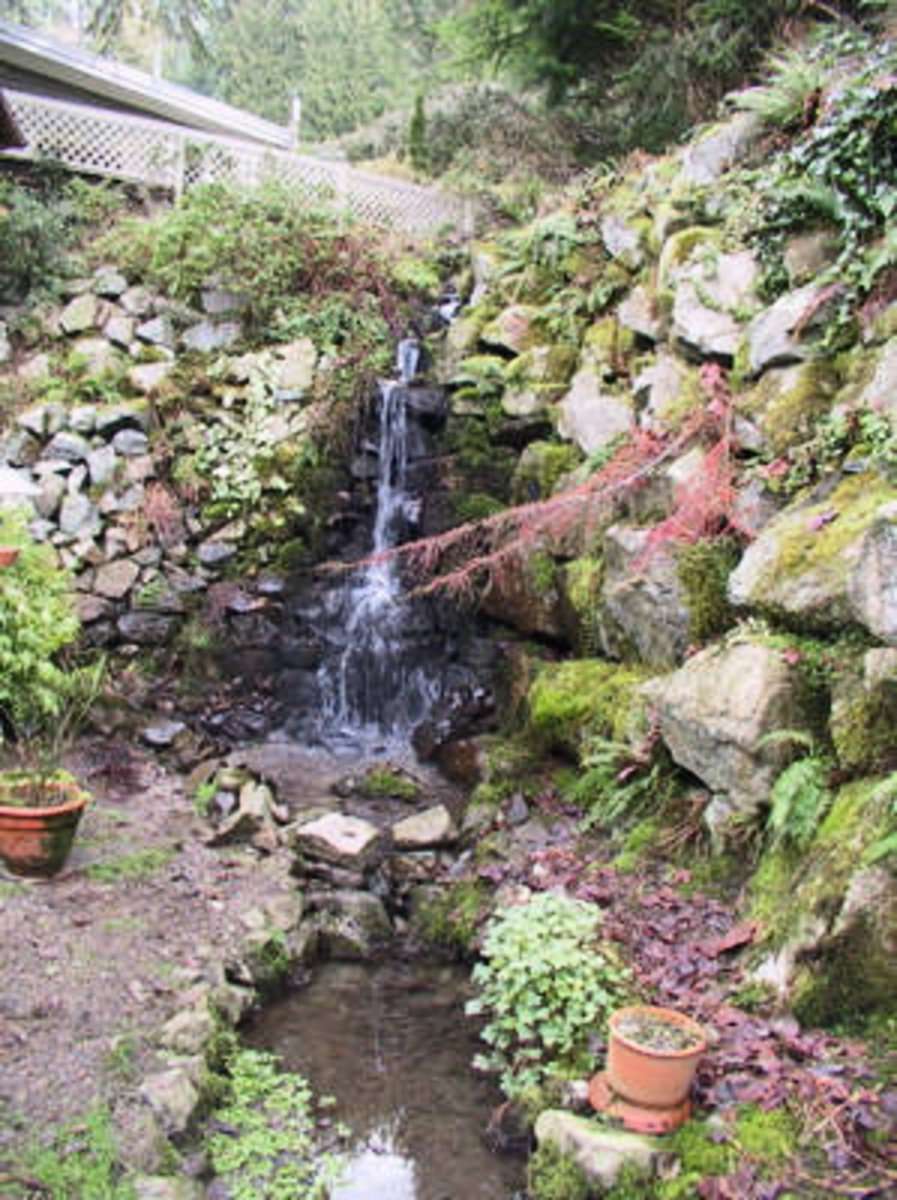Waterfall Beautiful year-round natural waterfall in your backyard