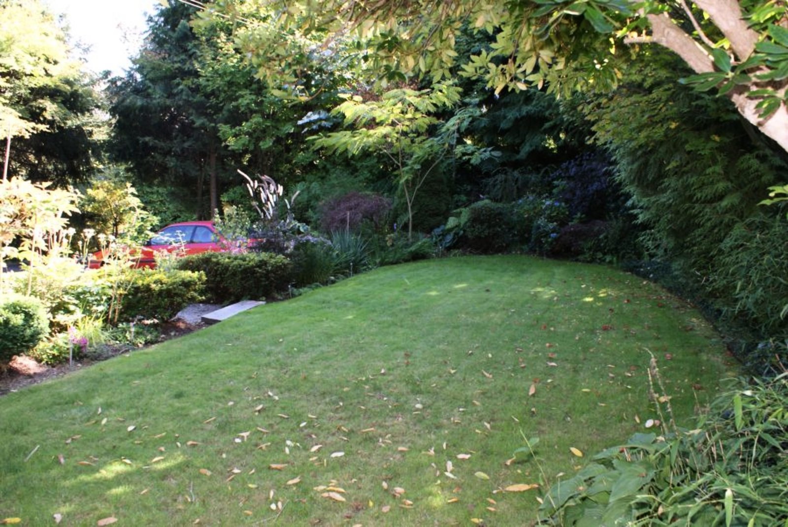 Front Yard