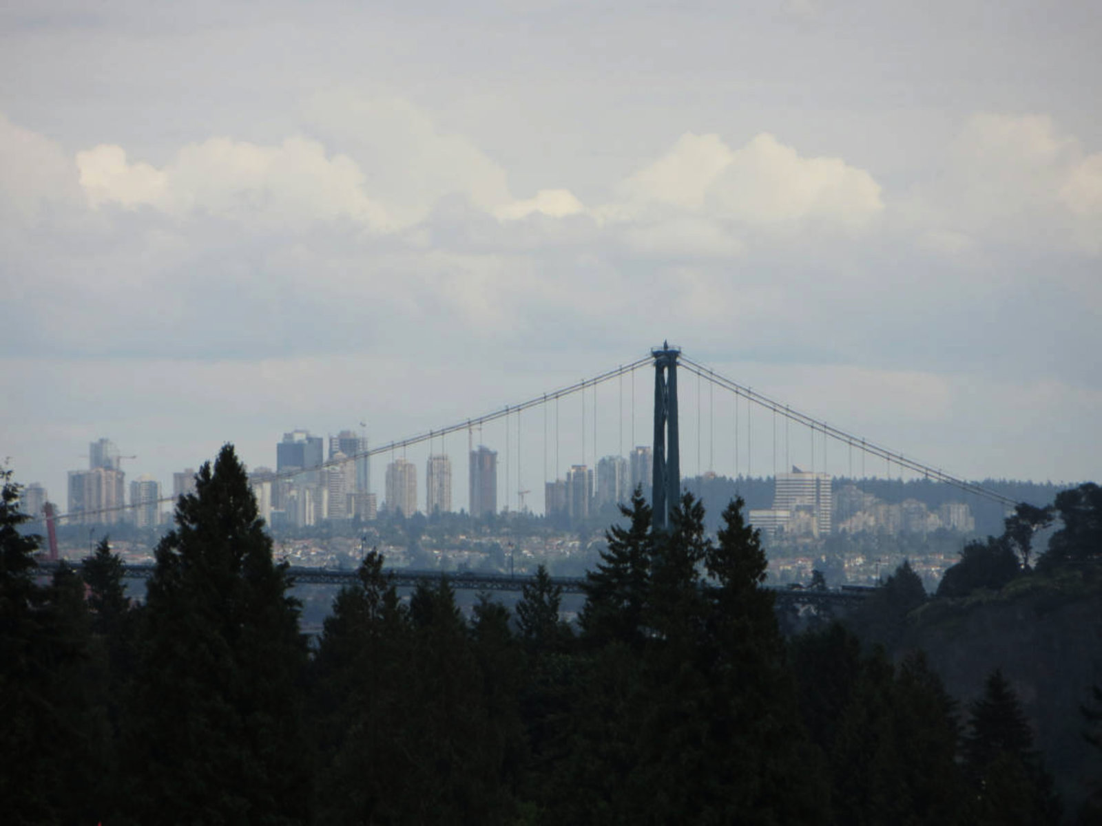 Bridge view
