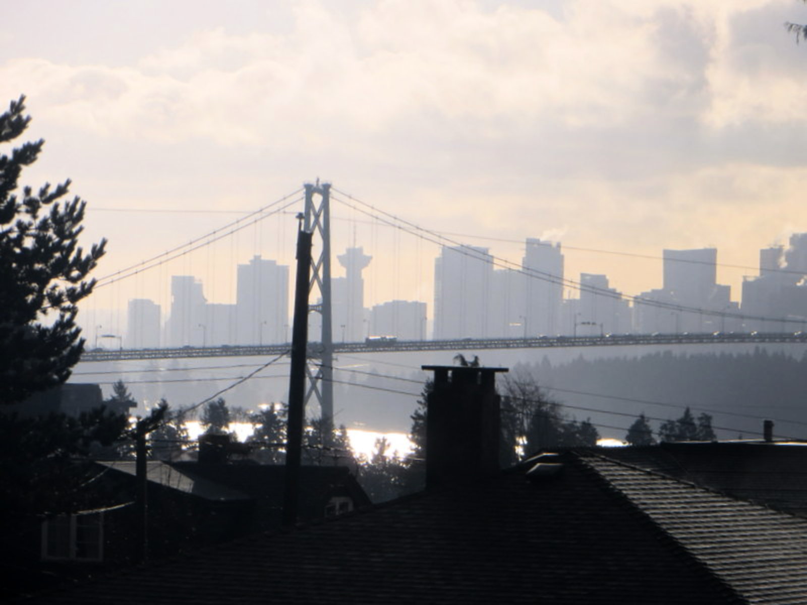 View of Bridge and City
