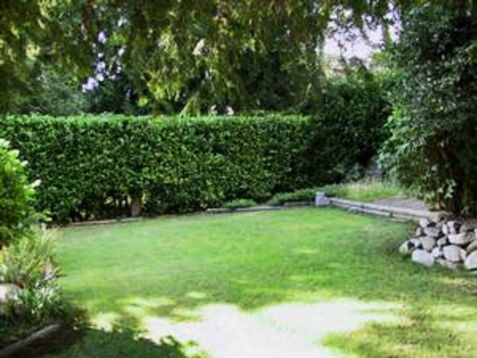 Private level grass backyard
