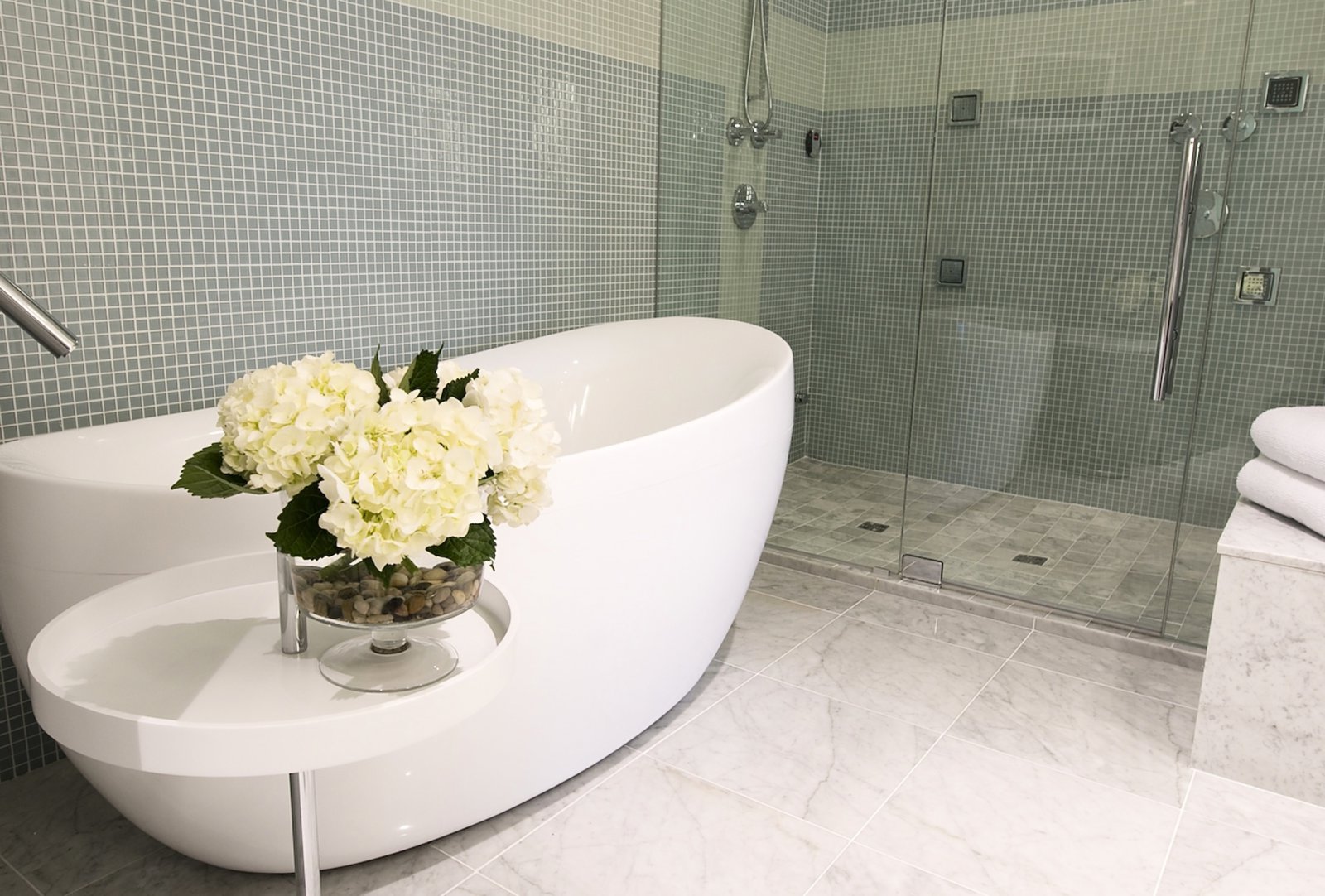 Master Ensuite Soaker Tub and Shower