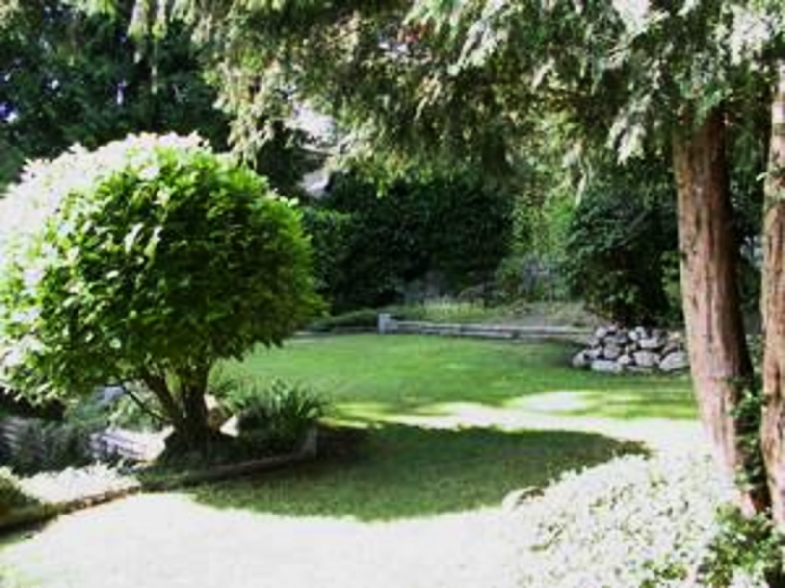 Private Backyard