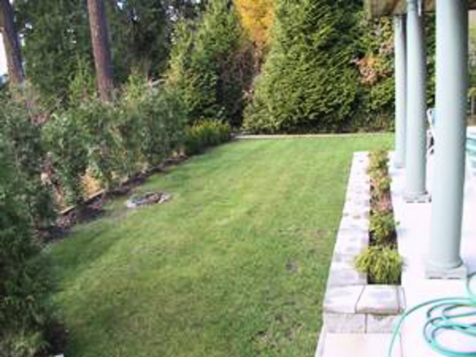 Level grass south facing yard