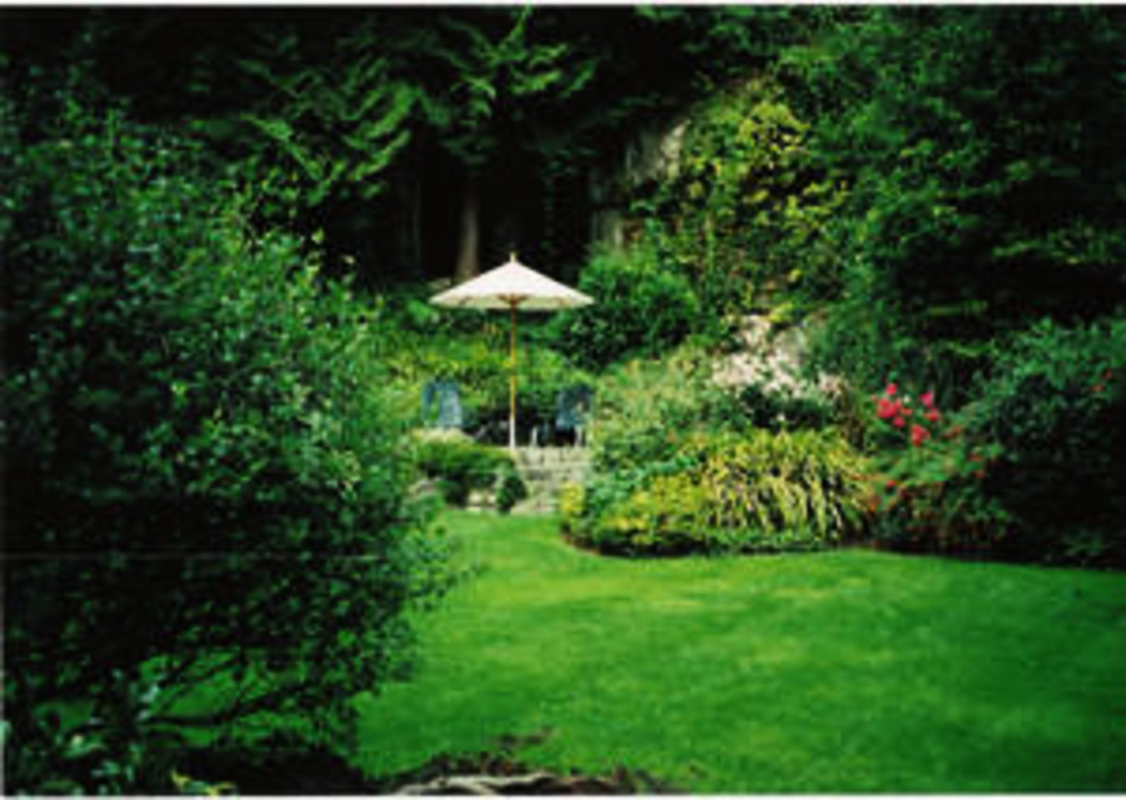 Award Winning Garden Sunny, private and level grass yard