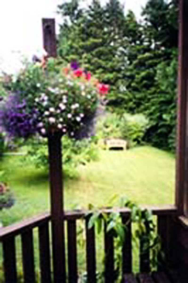 Backyard