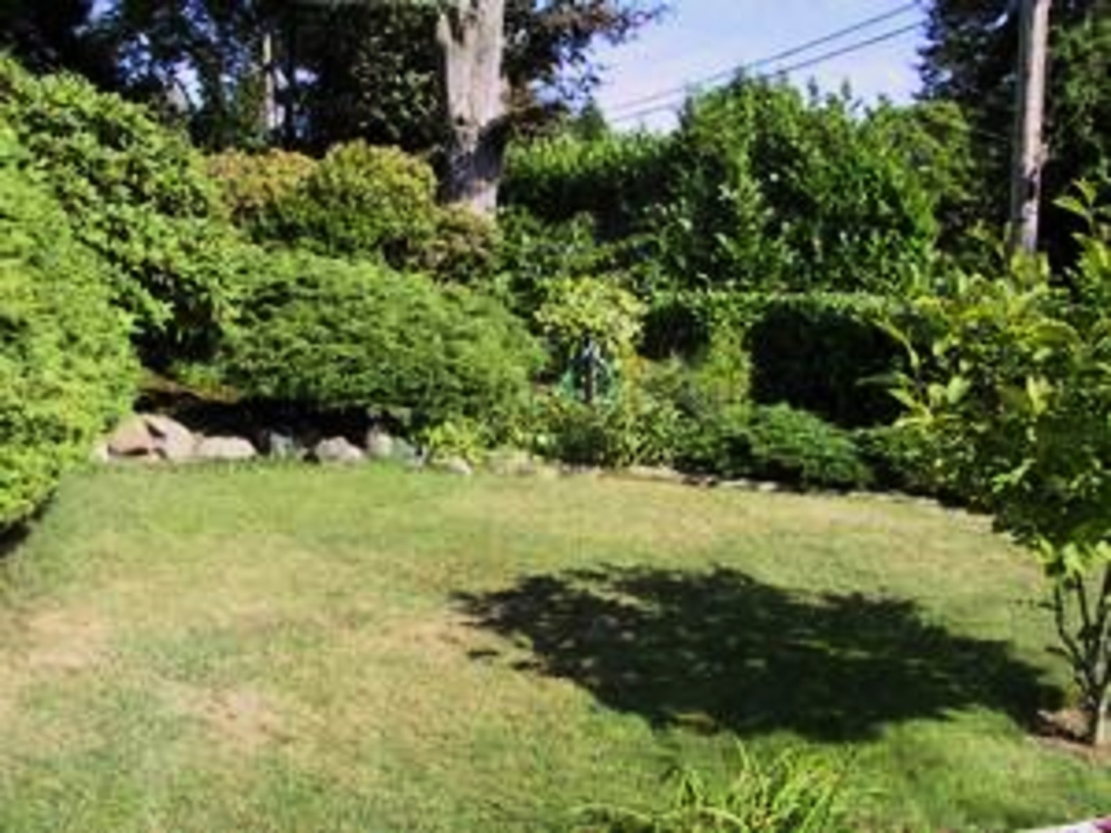 Front Yard